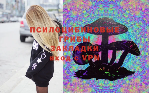 прущая мука Алзамай