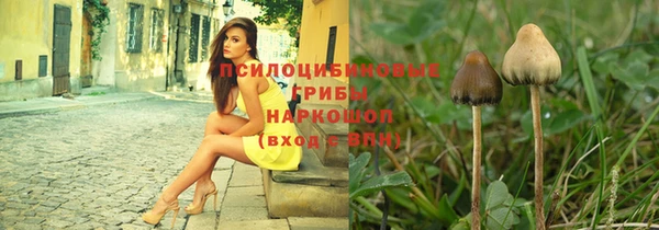 стафф Алексеевка