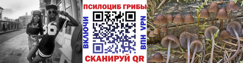 как найти наркотики  Алушта  Галлюциногенные грибы MAGIC MUSHROOMS 